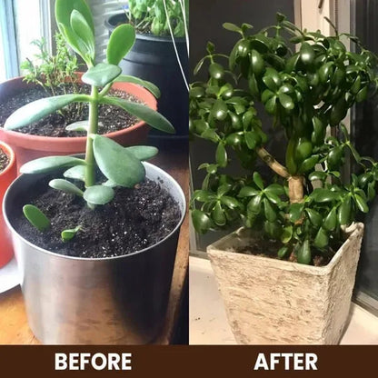 🌿 Soil Activator – Bring Your Plants Back to Life! (Buy 1 Get 1 FREE)